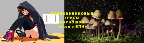 соль ск Кулебаки