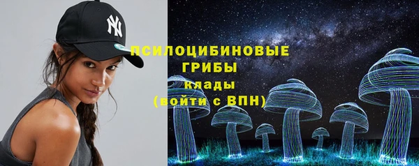 соль ск Кулебаки