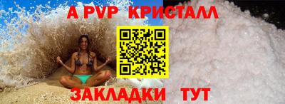 амф Гусев