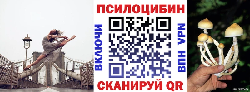 Псилоцибиновые грибы мухоморы  Топки 
