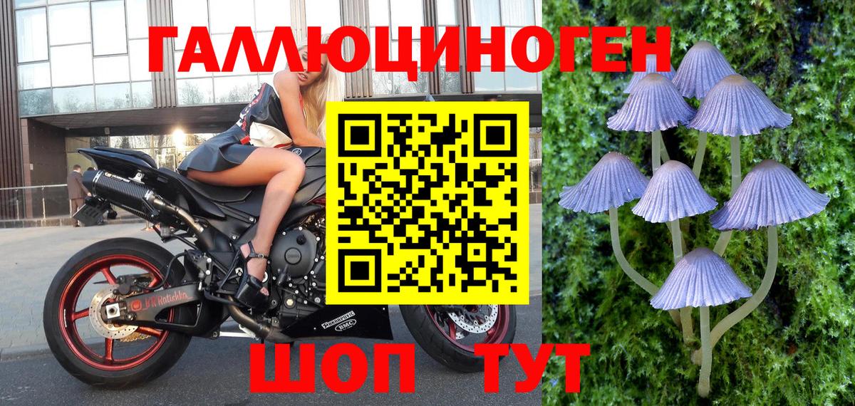 продажа наркотиков  Галлюциногенные грибы прущие грибы  Вход с VPN  Топки 