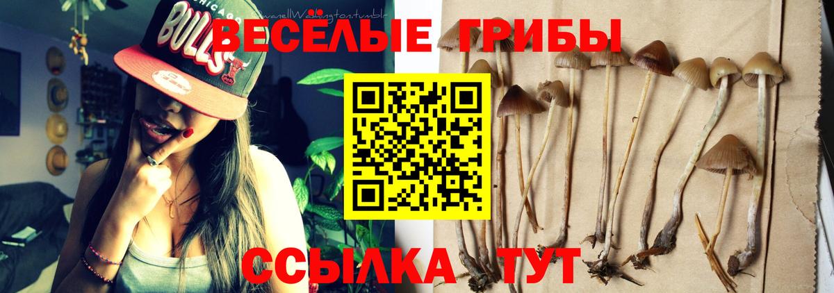Псилоцибиновые грибы MAGIC MUSHROOMS Топки