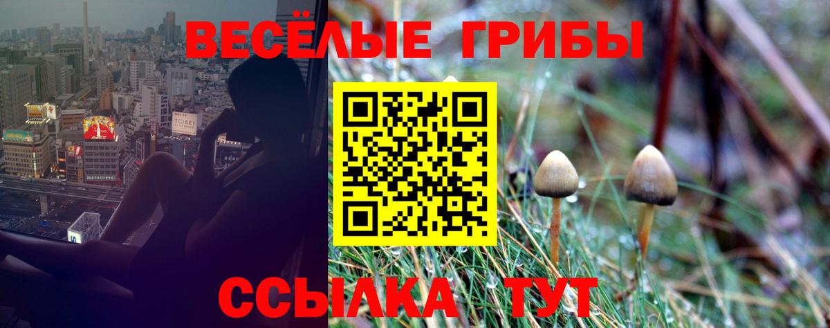 Псилоцибиновые грибы Cubensis Топки